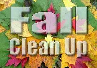 Fall Clean Up superimposed over picture of leaves on the ground.