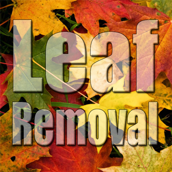 Leaf Removal superimposed over picture of leaves on the ground.